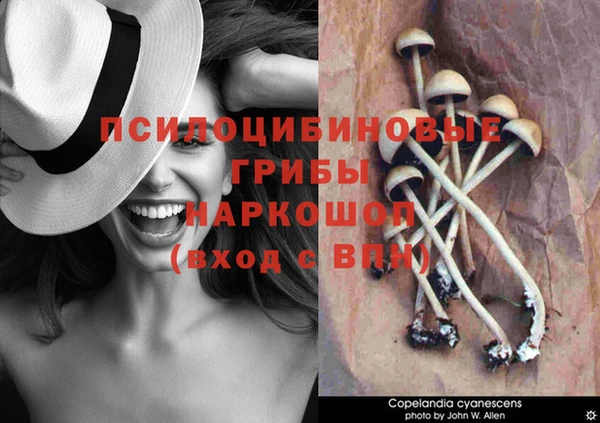 mdpv Ладушкин