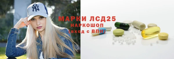 PSILOCYBIN Лагань